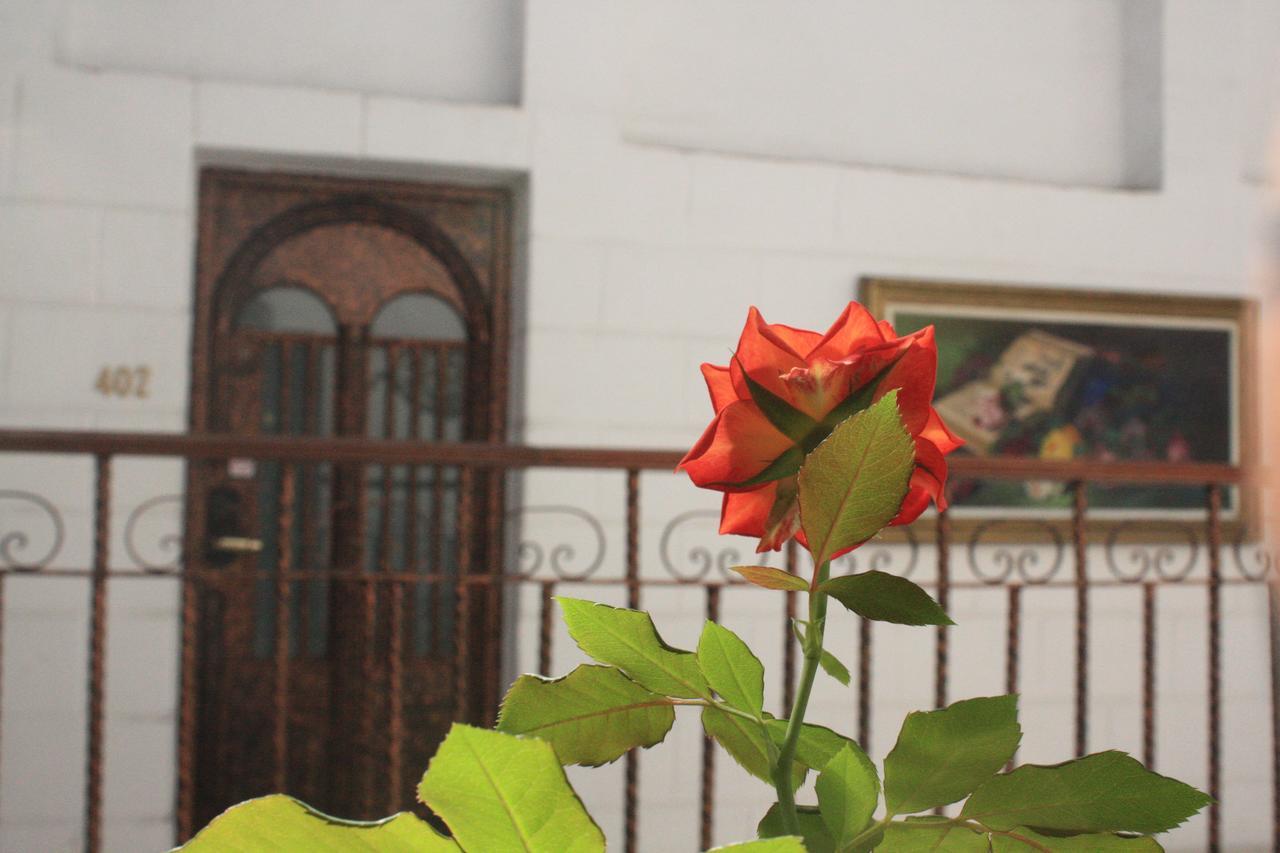 Casa De La Luna Mexico-stad Buitenkant foto